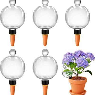 6-Pack Clear Glass Self-Watering Globes